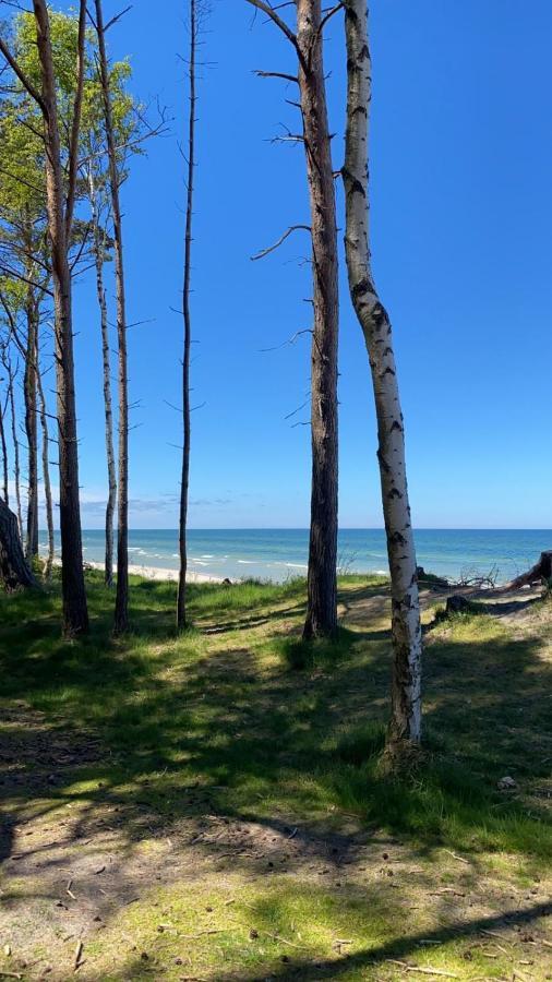 Piekny Domek Z Duzym Ogrodem Kopalino Bagian luar foto