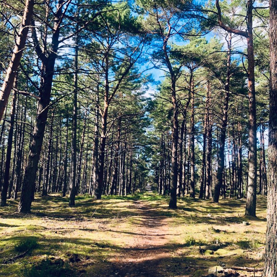 Piekny Domek Z Duzym Ogrodem Kopalino Bagian luar foto